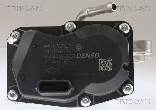 ERG vožtuvas TRISCAN 8813 10116