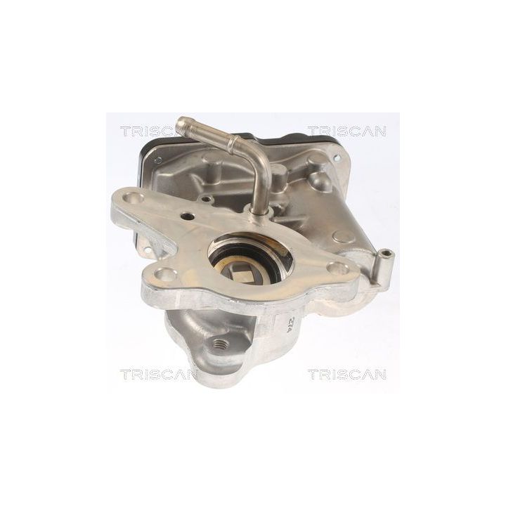 ERG vožtuvas TRISCAN 8813 10116