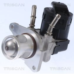 ERG vožtuvas TRISCAN 8813 11001