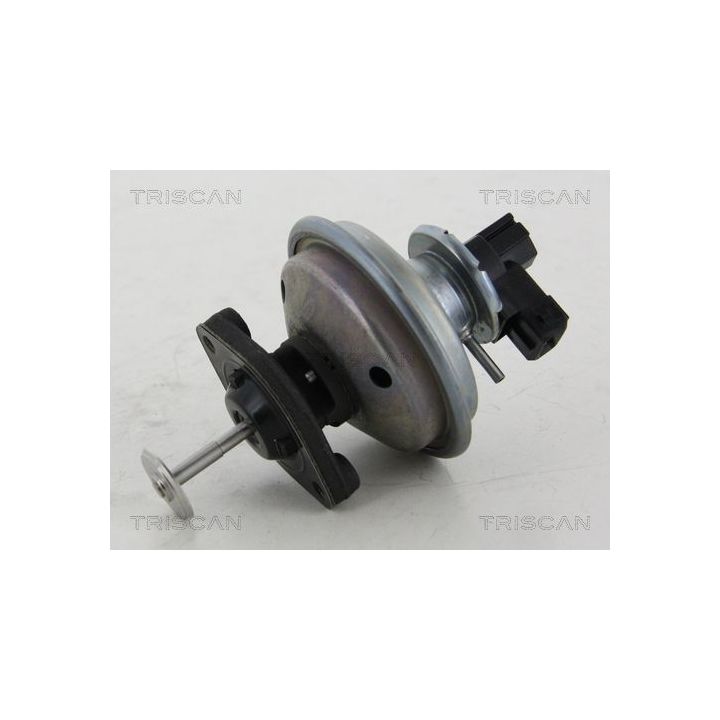 ERG vožtuvas TRISCAN 8813 11002