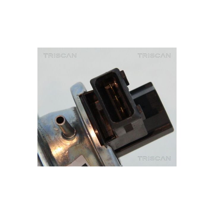 ERG vožtuvas TRISCAN 8813 11002