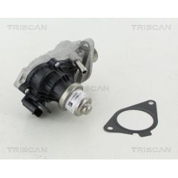 ERG vožtuvas TRISCAN 8813 11007