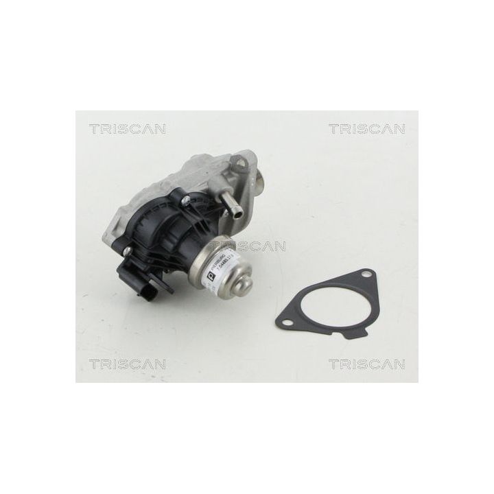 ERG vožtuvas TRISCAN 8813 11007