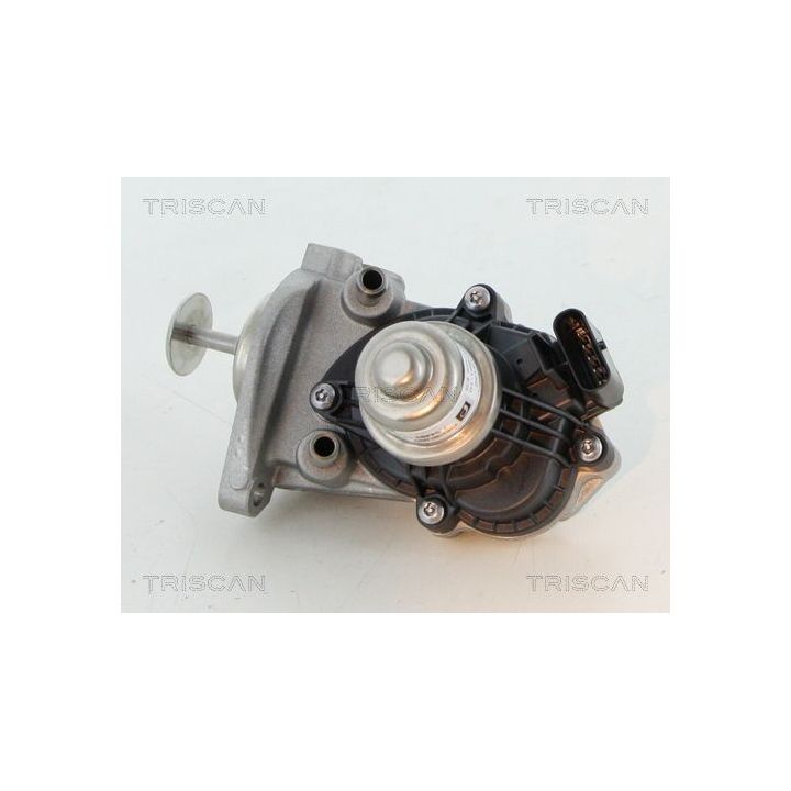 ERG vožtuvas TRISCAN 8813 11007