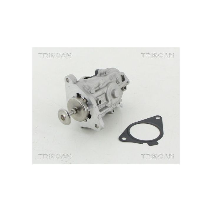 ERG vožtuvas TRISCAN 8813 11007