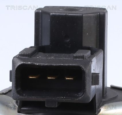 ERG vožtuvas TRISCAN 8813 11010