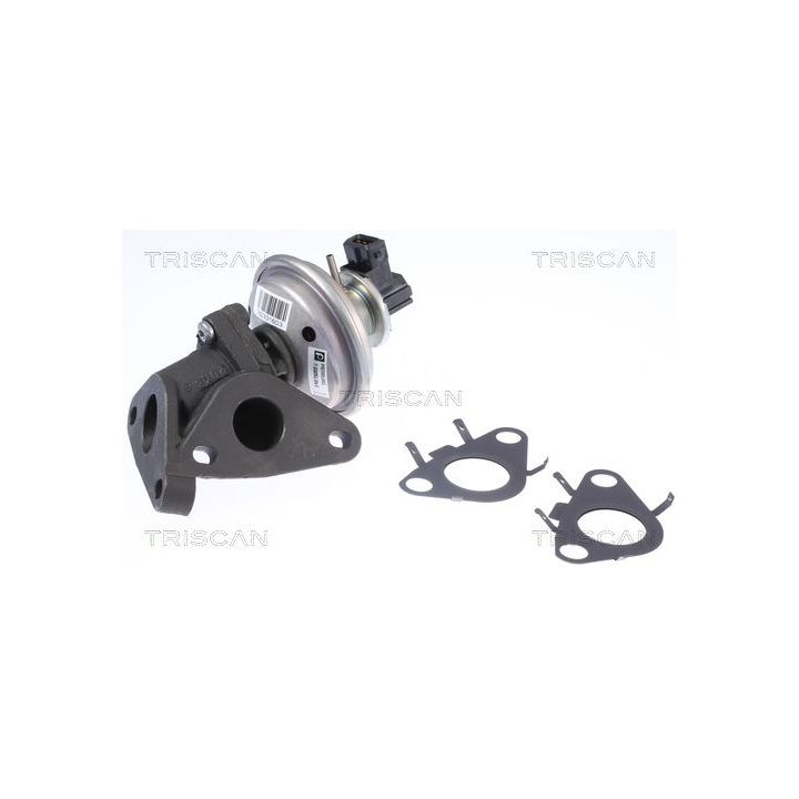 ERG vožtuvas TRISCAN 8813 11010