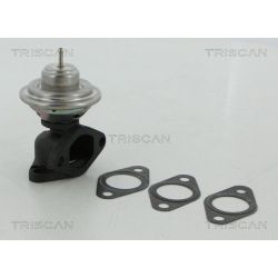 ERG vožtuvas TRISCAN 8813 12100