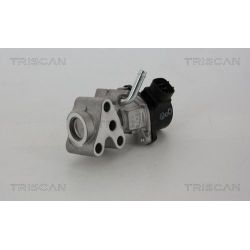 ERG vožtuvas TRISCAN 8813 13028