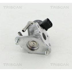 ERG vožtuvas TRISCAN 8813 13057