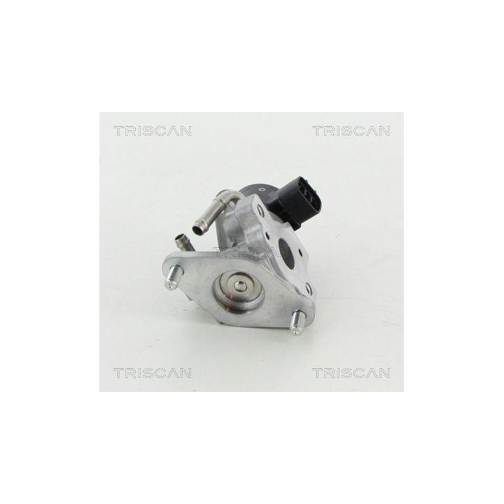 ERG vožtuvas TRISCAN 8813 13057