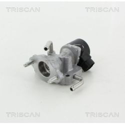 ERG vožtuvas TRISCAN 8813 13059