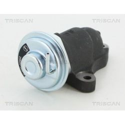 ERG vožtuvas TRISCAN 8813 13064