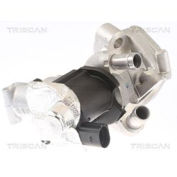 ERG vožtuvas TRISCAN 8813 14006