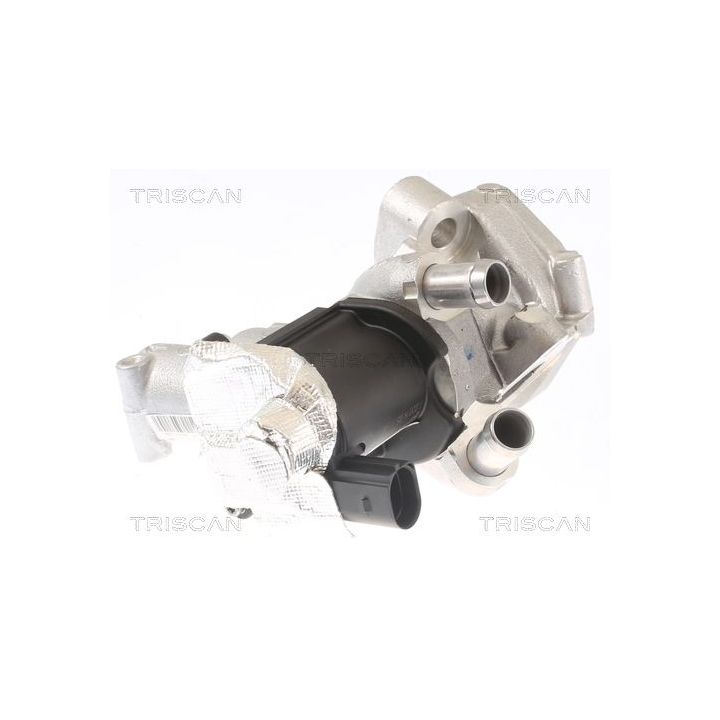 ERG vožtuvas TRISCAN 8813 14006