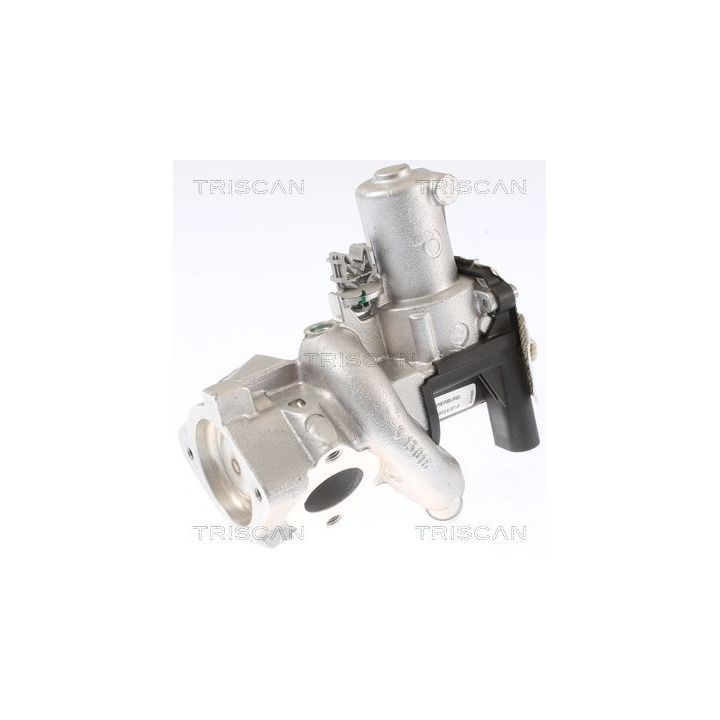 ERG vožtuvas TRISCAN 8813 14006