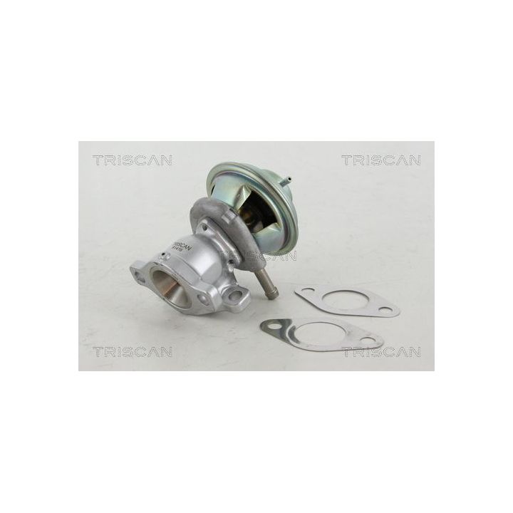 ERG vožtuvas TRISCAN 8813 15029