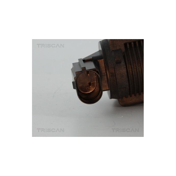 ERG vožtuvas TRISCAN 8813 15032