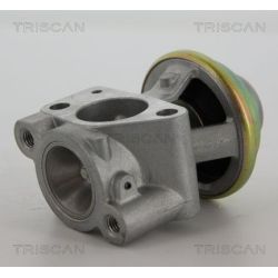 ERG vožtuvas TRISCAN 8813 15040