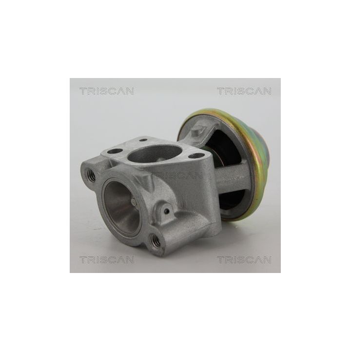 ERG vožtuvas TRISCAN 8813 15040