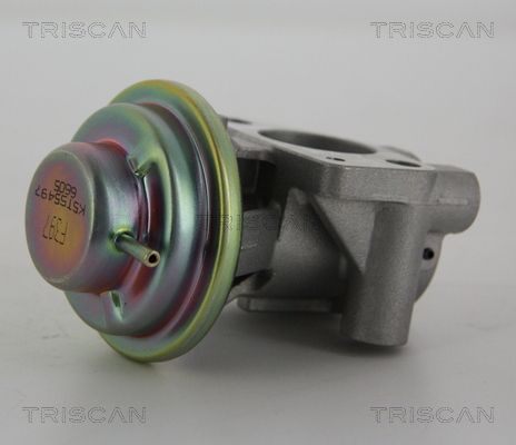 ERG vožtuvas TRISCAN 8813 15040