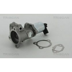 ERG vožtuvas TRISCAN 8813 15052