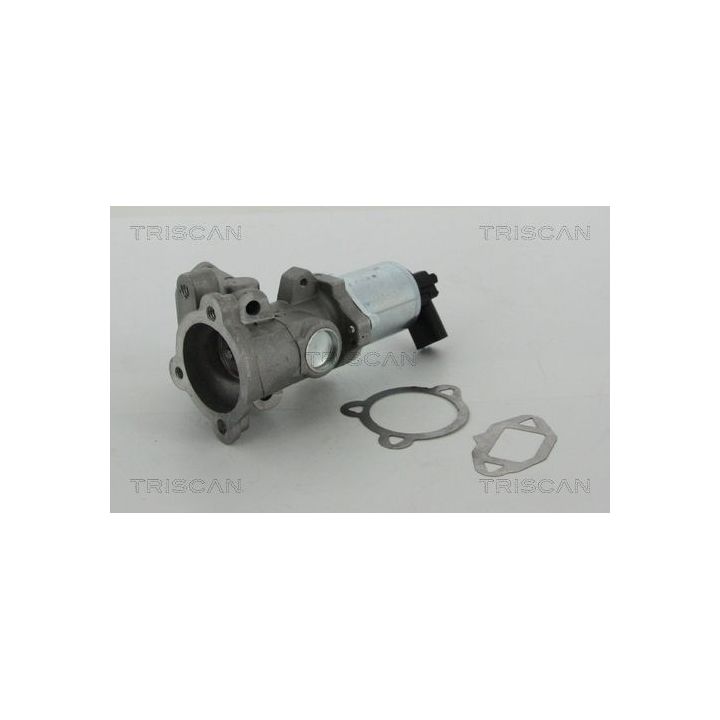 ERG vožtuvas TRISCAN 8813 15052