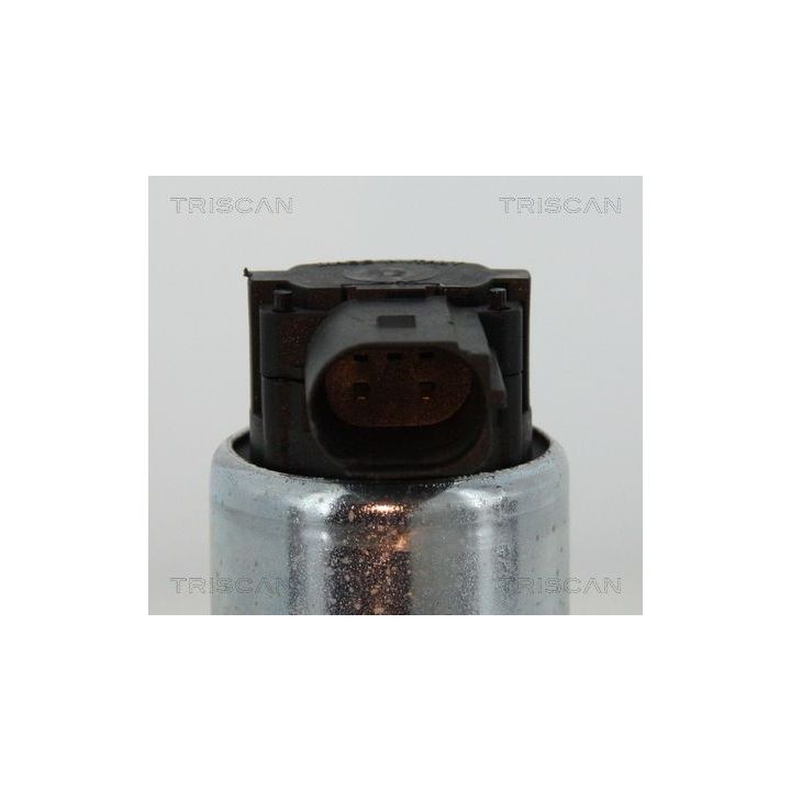 ERG vožtuvas TRISCAN 8813 15052