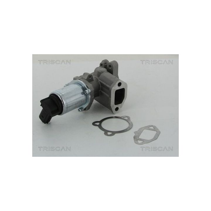 ERG vožtuvas TRISCAN 8813 15052
