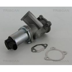 ERG vožtuvas TRISCAN 8813 15069