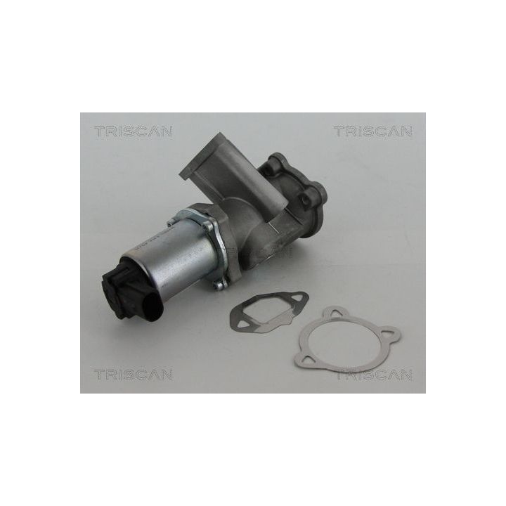 ERG vožtuvas TRISCAN 8813 15069