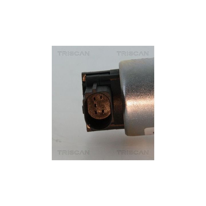 ERG vožtuvas TRISCAN 8813 15069