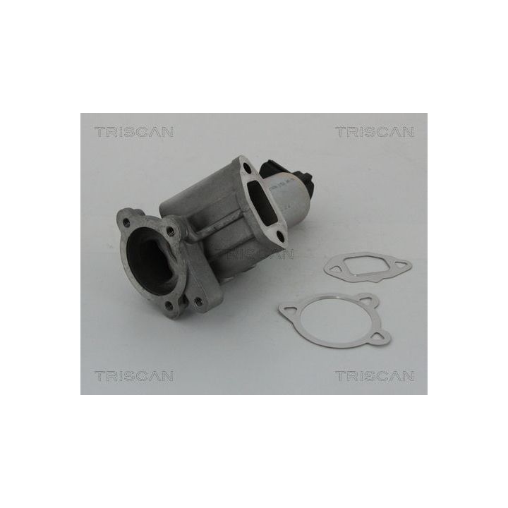 ERG vožtuvas TRISCAN 8813 15069