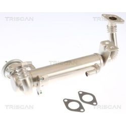 ERG vožtuvas TRISCAN 8813 15074