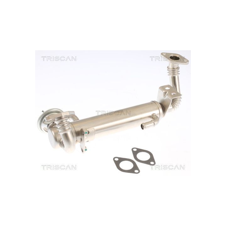 ERG vožtuvas TRISCAN 8813 15074