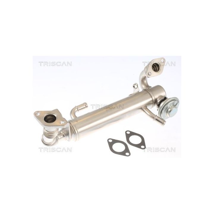 ERG vožtuvas TRISCAN 8813 15074