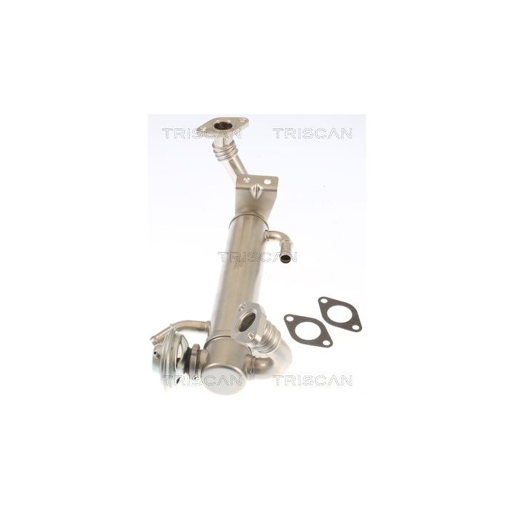 ERG vožtuvas TRISCAN 8813 15074