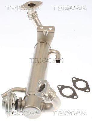 ERG vožtuvas TRISCAN 8813 15074