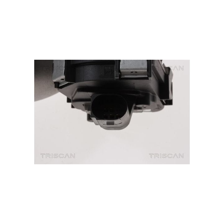 ERG vožtuvas TRISCAN 8813 15100