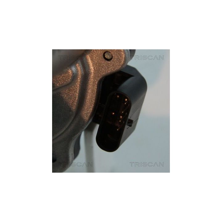 ERG vožtuvas TRISCAN 8813 15206