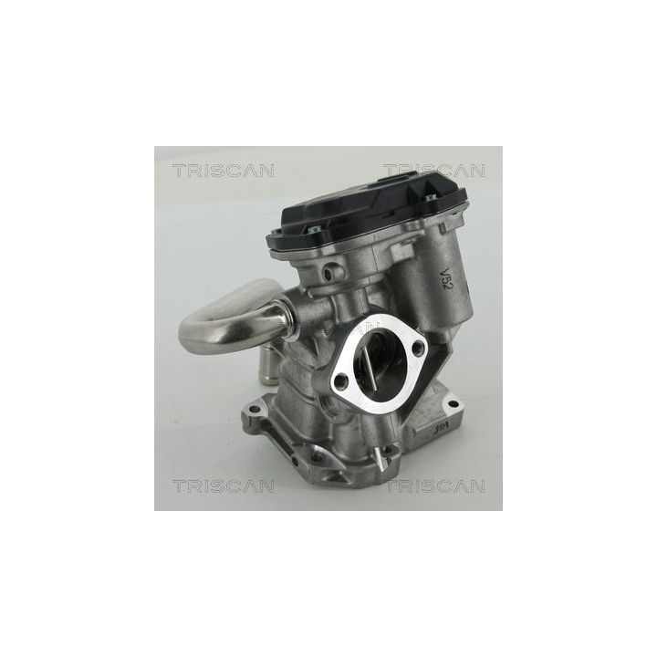 ERG vožtuvas TRISCAN 8813 15206