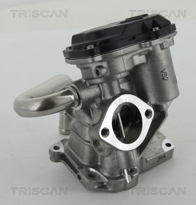 ERG vožtuvas TRISCAN 8813 15206