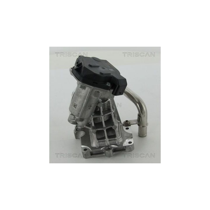 ERG vožtuvas TRISCAN 8813 15206