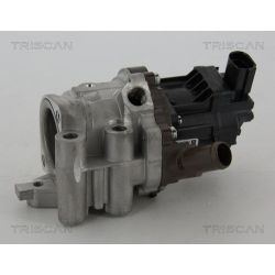 ERG vožtuvas TRISCAN 8813 15207