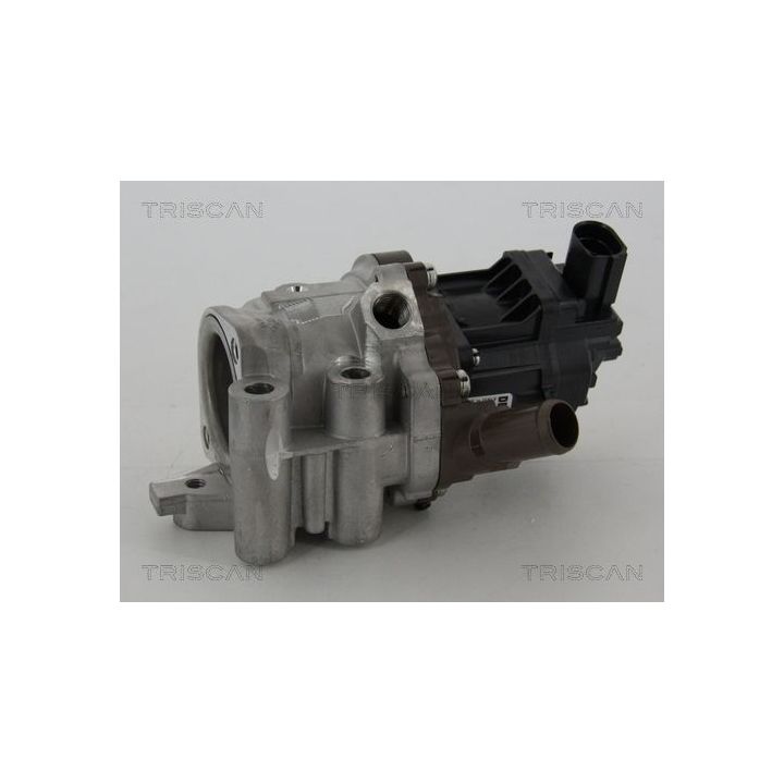 ERG vožtuvas TRISCAN 8813 15207