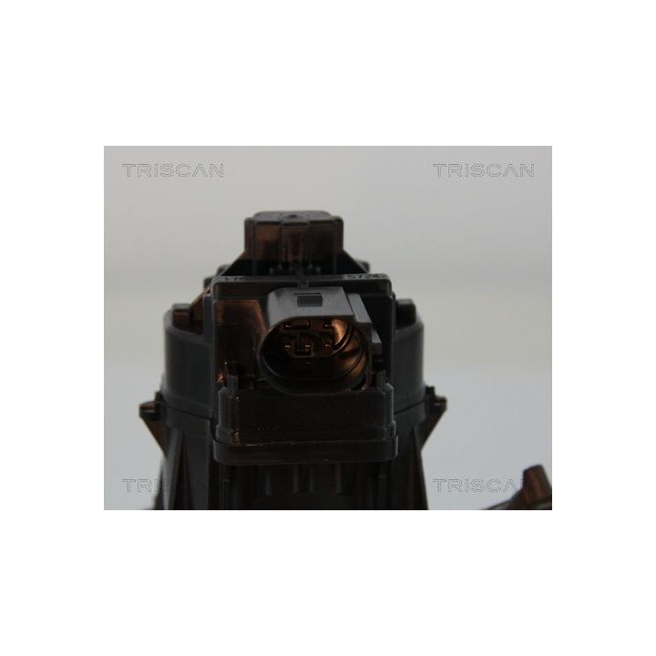 ERG vožtuvas TRISCAN 8813 15207