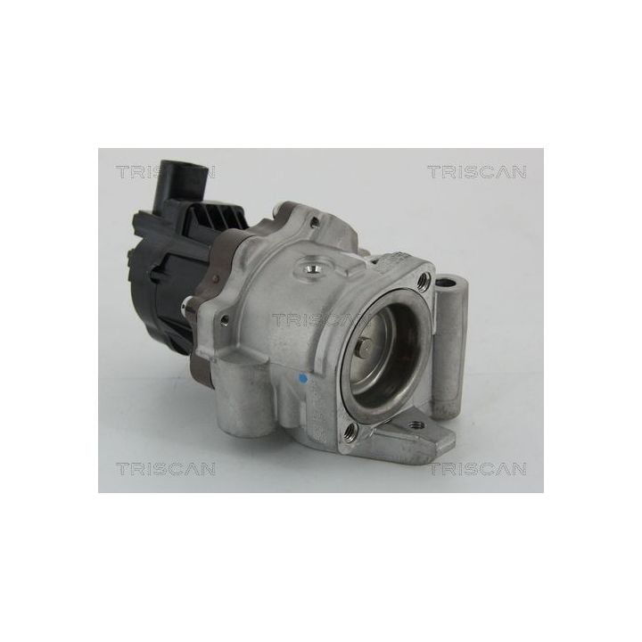 ERG vožtuvas TRISCAN 8813 15207