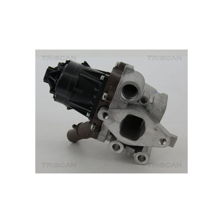 ERG vožtuvas TRISCAN 8813 15207