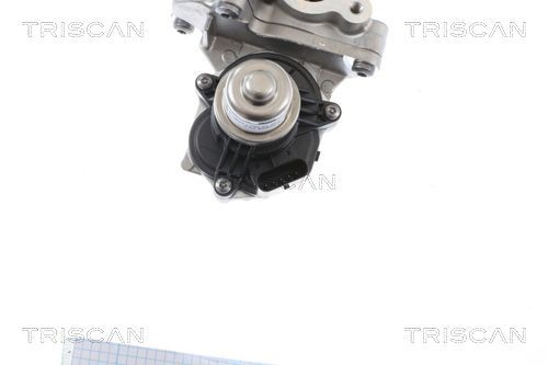 ERG vožtuvas TRISCAN 8813 16005