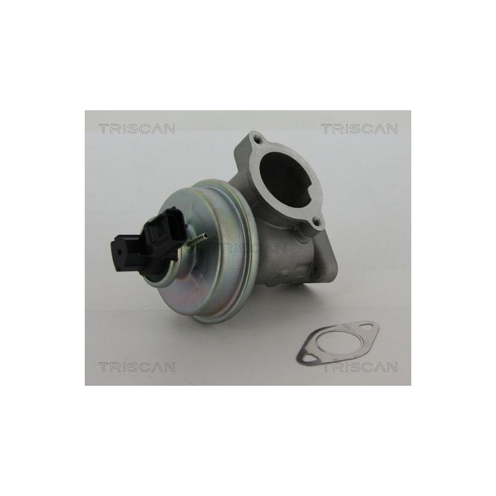 ERG vožtuvas TRISCAN 8813 16012